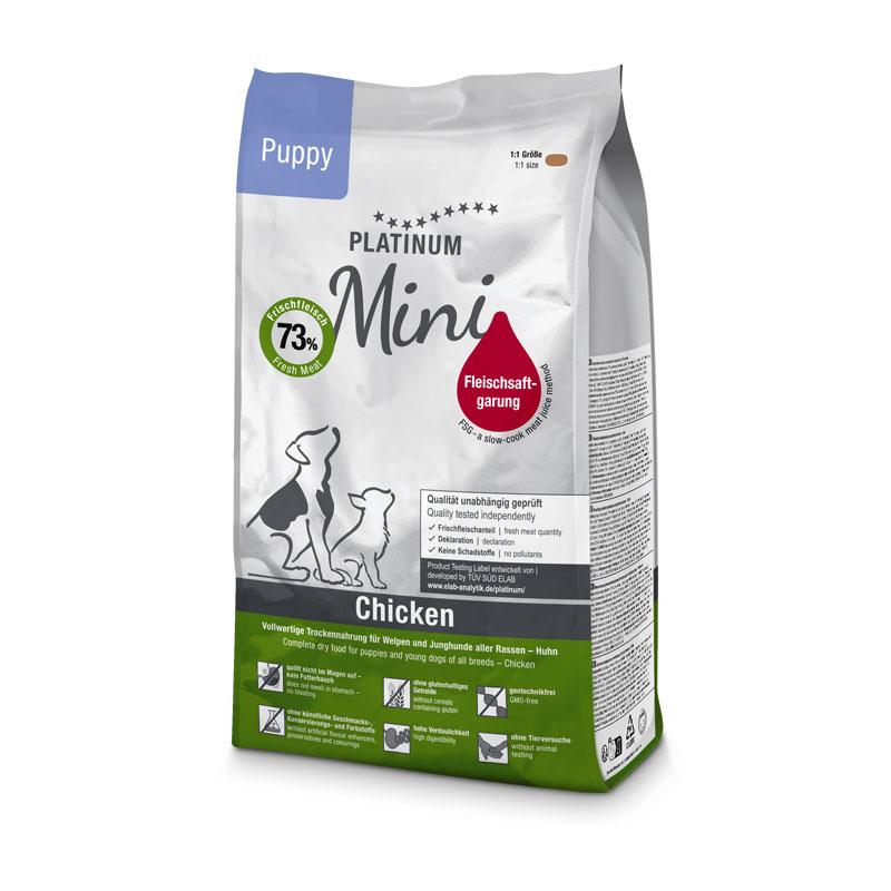 Platinum mini puppy  900g