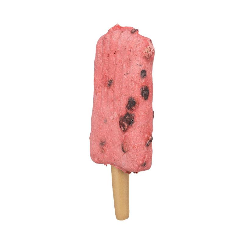 Trixie sladoled za pse ice pop piletina borovnica 55g